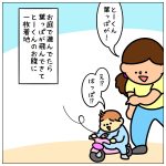 落ち葉がはらり☆