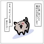 ココが家族になるまで☆④